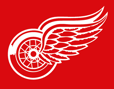 042510_detroit_day_06_wings.gif