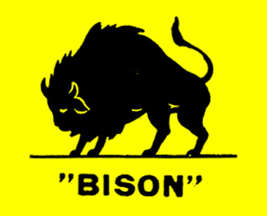 102710_bison.jpg