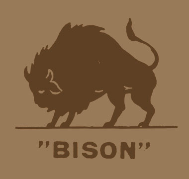 121510_bison.jpg